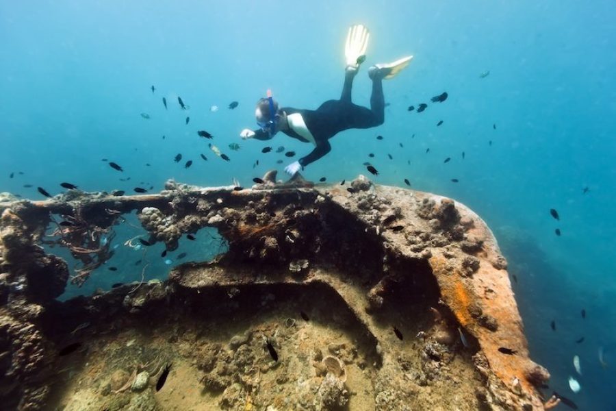 Coron Reef and Wreck Tour (Private Boat)