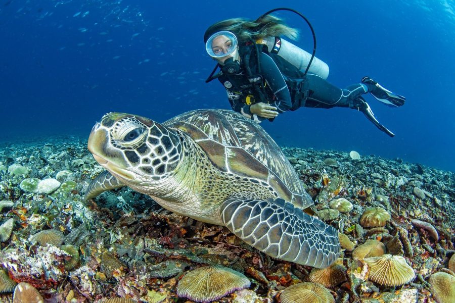 El Nido PADI Open Water Diver Course